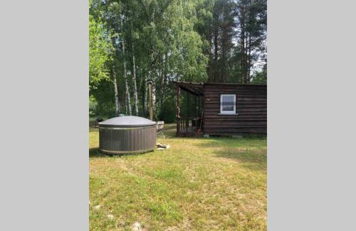 Birzgale House | Birch house