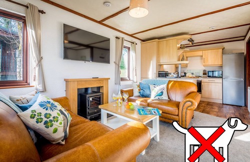 Otterham Apartment | Birch Lodge- Orchard Lodge No 3
