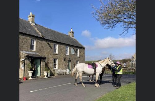 Elsdon Hotel | Bird In Bush Elsdon