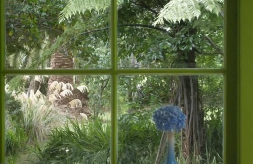 Kohukohu House | Birdsong & bananas