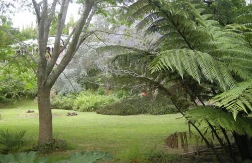 Kohukohu House | Birdsong & bananas