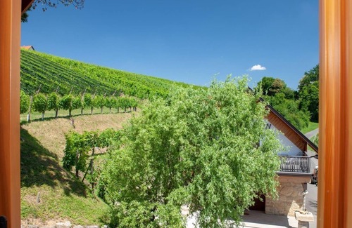 Sankt Anna am Aigen Apartment | Birnbaumzimmer - Weingut & Gästehaus Pfeifer St. Anna am Aigen