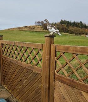 Fludir Villa | Birtingaholt Retreat