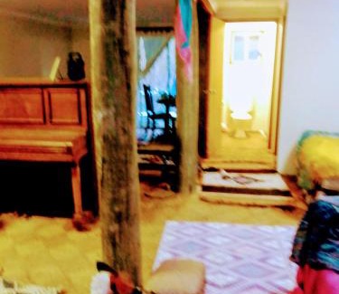 Nimbin Apartment | BITOLOVO