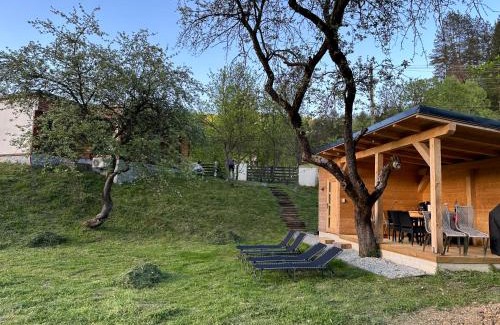 Viseu de Sus House | Biutiful Bungalow