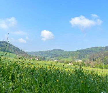 Gengenbach Apartment | Black Forest Apartments
