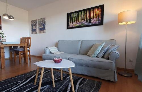 Schonach im Schwarzwald Apartment | Black Forest Schwarzwaldliebe Pool Sauna Tennis Tischtennis Wifi Netflix Natur