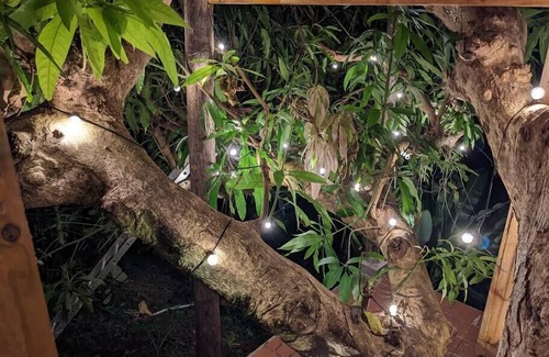Gros Islet Cabin | Black Pearl Estate. Tree Cottage