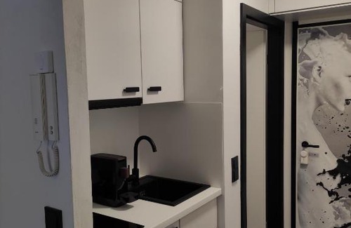 Kaninchenberg Apartment | Black & White Apartment