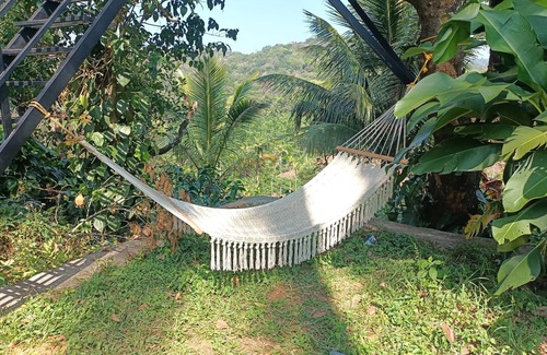 Mananthavady House | Blackhole Farms & Retreats - Tree House