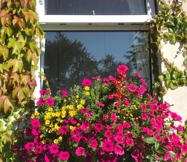 Knockaderry Cross Roads House | Blackrath Farmhouse