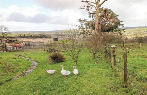 Pont-ar-gothi Cottage | Blaidd Bach