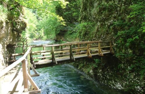 Bled Hotel | Bled Rose Hotel