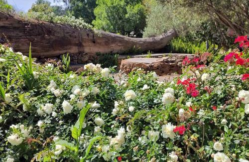 Elgin House | Blissful Country Garden King Bed Cottage