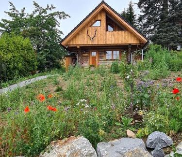Braunlage House | Blockhaus PanHütte