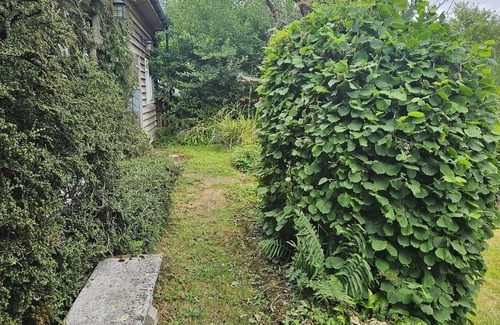 Burstock Cottage | Bloom Cottage – 3 bedroom countryside family retreat w/garden & views