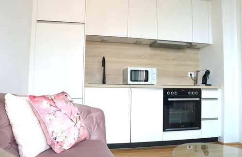 Gmunden Apartment | Blossom stylish AP with Balcony and Lake view
