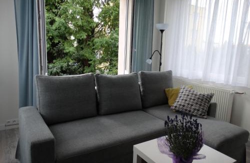 Lubon Apartment | Blue Apartament