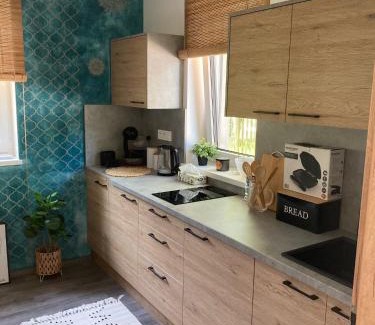 Cerna V Posumavi Apartment | Blue apartment Lipno