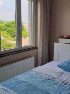 Krisztinavaros Apartment | Blue Ball Apartment