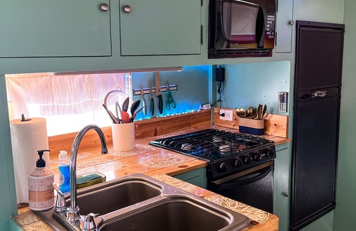 Greenville House | Blue Bird Bus at the Saluda River