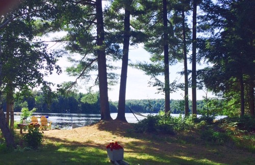 Lake of Bays Apartment | Blue Heron c/w Algonquin & Arrowhead Pass - Bring your pet free!