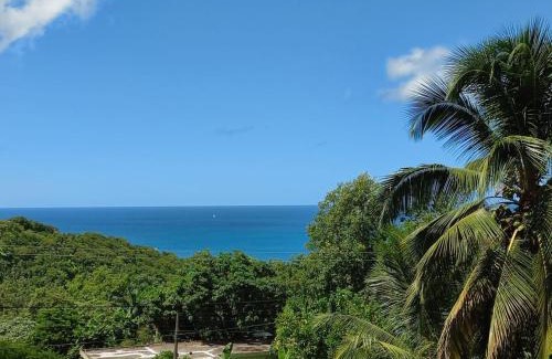Castries Apartment | Blue Horizon Apartments