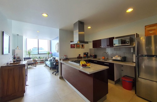 Ampliacion Granada Apartment | Blue Horse Apartment in New Polanco.