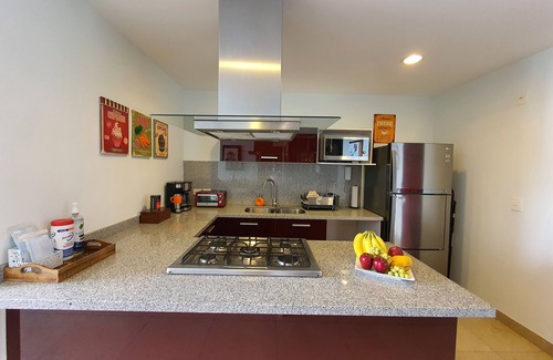 Ampliacion Granada Apartment | Blue Horse Apartment in New Polanco.