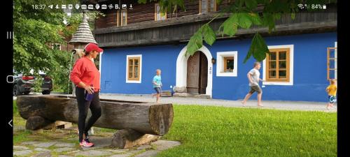 Ramingstein Apartment | Blue House