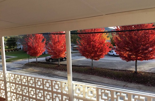 Clayton Apartment | Blue Moon Vacation Rentals Downtown Clayton