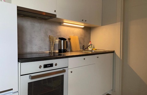 Birzgale Apartment | Blue Mountain apartment