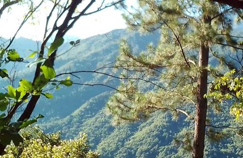 Blue Mountains National Park Cabin | Blue Mountain Wilderness Retreat Jamaica House