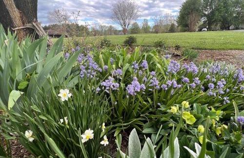 Afton House | Blue Rivers Cottage & Loft