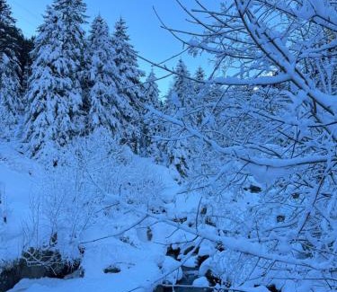 Goeschenen Bed & Breakfast | Blue Sky Apartments
