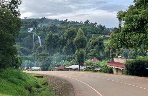 Sipi House | Blue Star Homestay