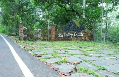 Yercaud Villa | Blue Valley Estate-12 Acre Forest-Silver Oak-Villa