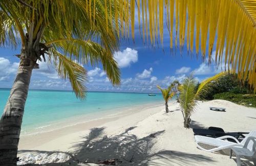 Maamigili House | Blue Village