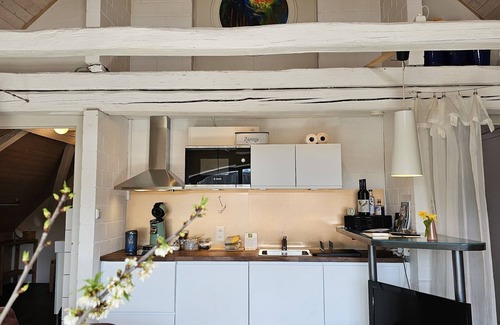 Gebenstorf Apartment | Blue Wall BnB - business apartments