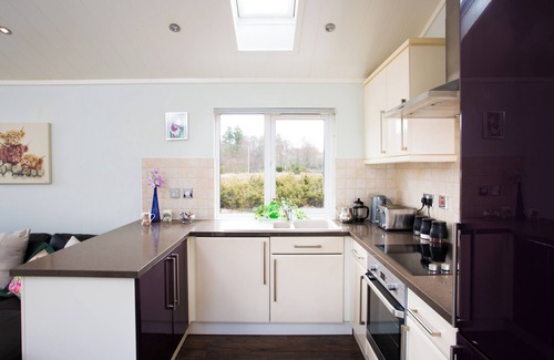 Contin Cabin | Bluebell Lodge - Sleeps 4,Hot Tub, Loch & Woodland
