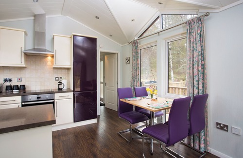 Contin Cabin | Bluebell Lodge - Sleeps 4,Hot Tub, Loch & Woodland