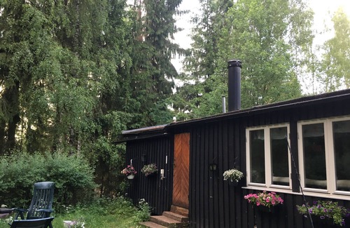 Skillingsfors Cabin | Blueberries Lake Cabin