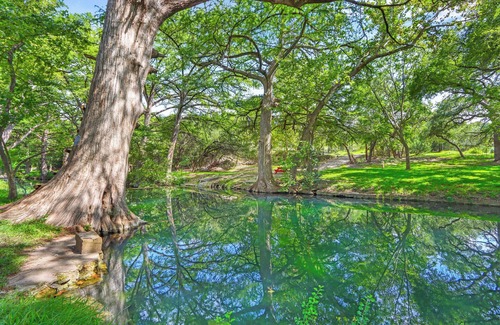 Wimberley House | Bluebonnet Cottage I Waterfront, Dog Friendly