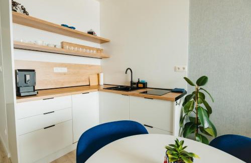 Banka Apartment | BlueWave Apartment Piestany, Lake Slnava View & Free Parking