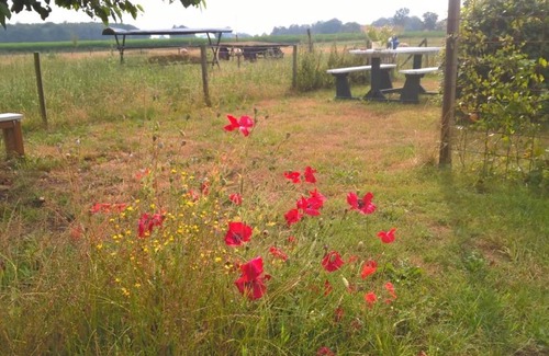 Onstwedde Bed & Breakfast | boerderijkamer Zwanebloem