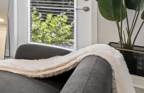 St. Peters Apartment | Bold 2126 I Corporate 1 Bedroom Apartment