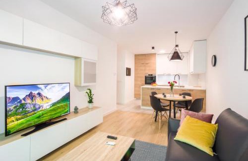 Boleslawiec Apartment | BoleslaviaApartments - Apartament Arte 5, parking free, EV, air conditioning