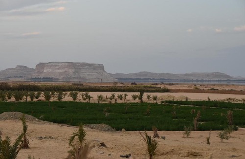Siwa Bed & Breakfast | Bondok Camp Siwa