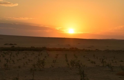Siwa Bed & Breakfast | Bondok Camp Siwa