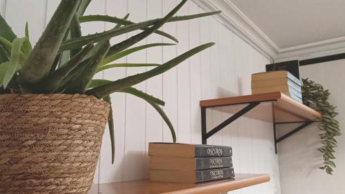 O Perpetuo Socorro Apartment | Bonito apto petfriendly con gran terraza y parking ideal para teletrabajar